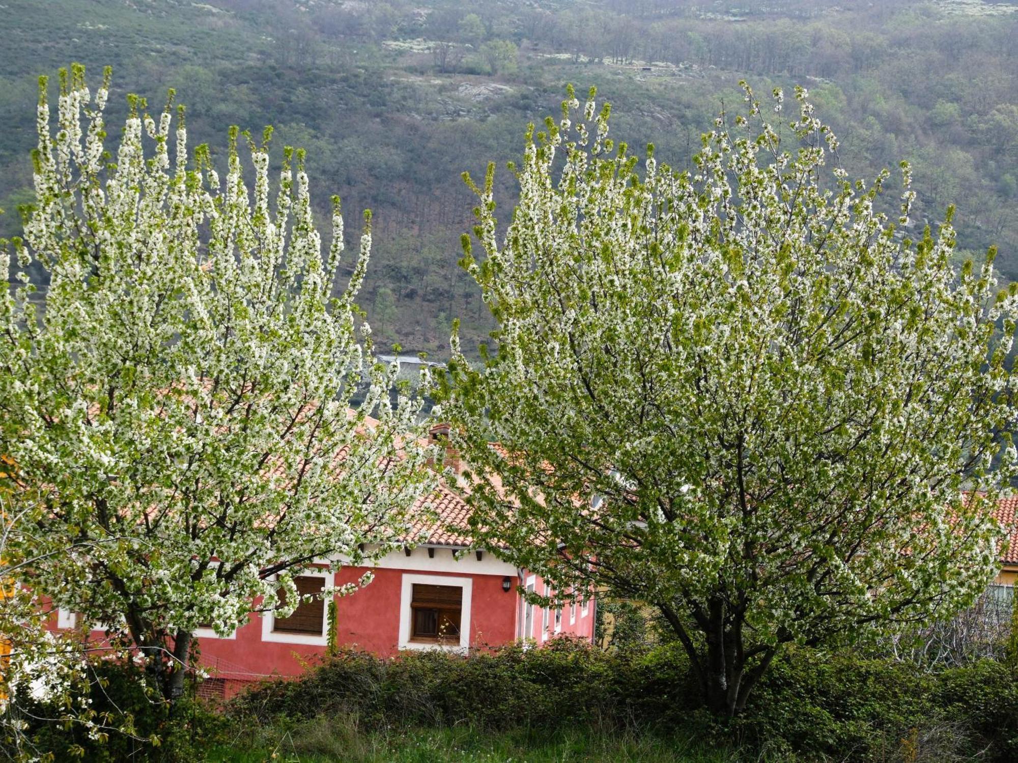 Hotel Rural Carlos I Garganta la Olla Buitenkant foto
